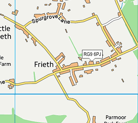 RG9 6PJ map - OS VectorMap District (Ordnance Survey)