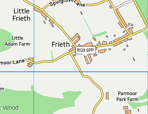 RG9 6PP map - OS VectorMap District (Ordnance Survey)