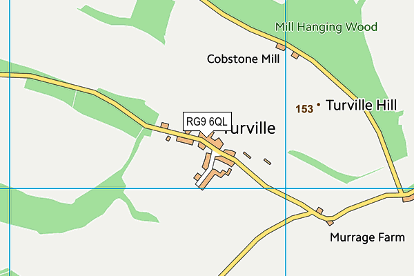 RG9 6QL map - OS VectorMap District (Ordnance Survey)