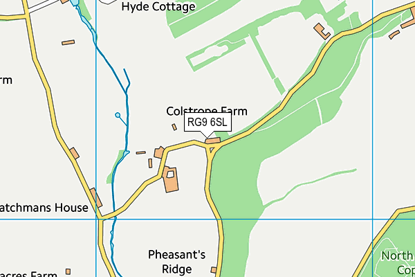 RG9 6SL map - OS VectorMap District (Ordnance Survey)