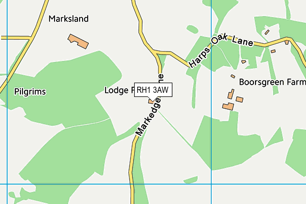 RH1 3AW map - OS VectorMap District (Ordnance Survey)