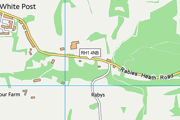 RH1 4NB map - OS VectorMap District (Ordnance Survey)