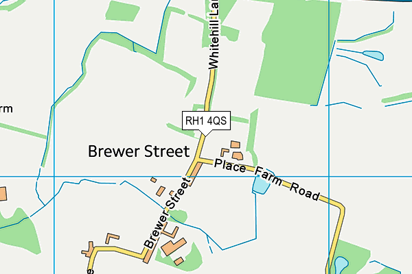 RH1 4QS map - OS VectorMap District (Ordnance Survey)