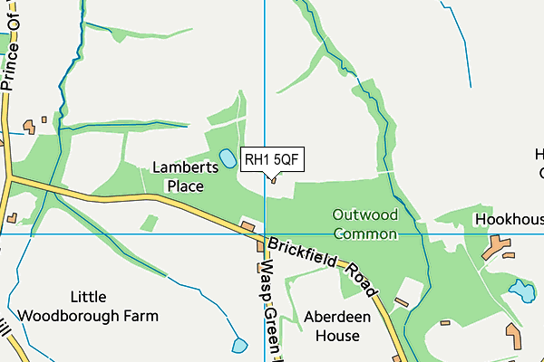 RH1 5QF map - OS VectorMap District (Ordnance Survey)