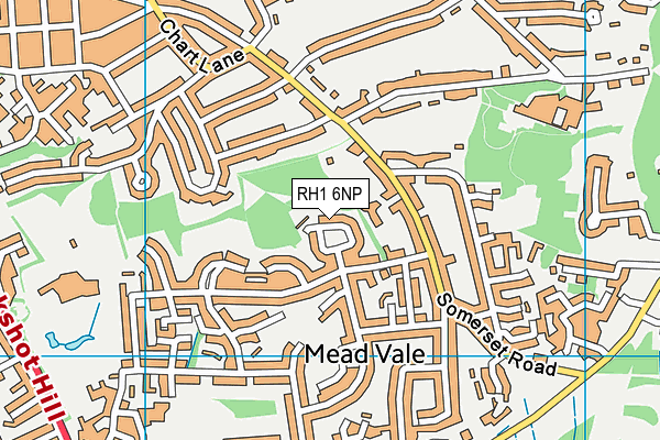 RH1 6NP map - OS VectorMap District (Ordnance Survey)