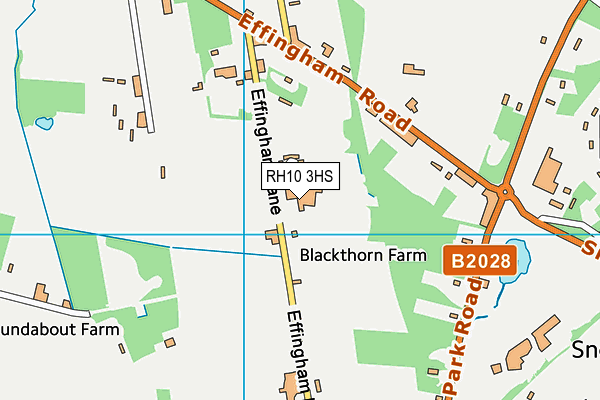 Heatherley map (RH10 3HS) - OS VectorMap District (Ordnance Survey)