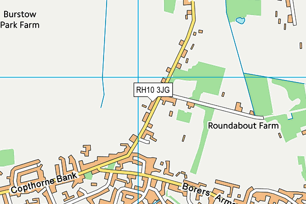 RH10 3JG map - OS VectorMap District (Ordnance Survey)