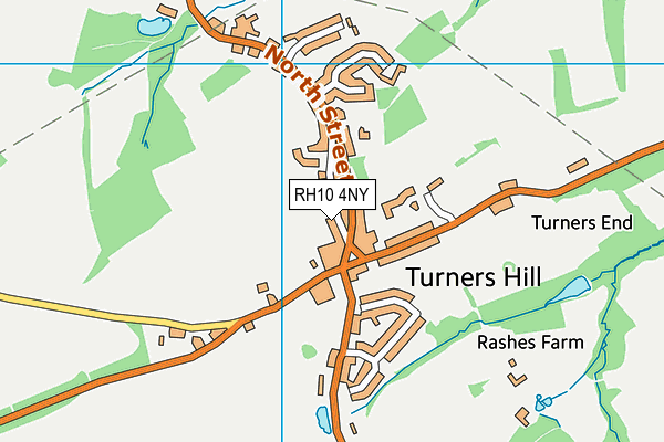 RH10 4NY map - OS VectorMap District (Ordnance Survey)