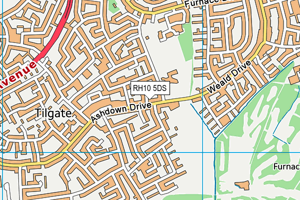 RH10 5DS map - OS VectorMap District (Ordnance Survey)