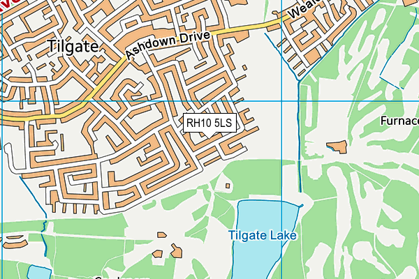 RH10 5LS map - OS VectorMap District (Ordnance Survey)