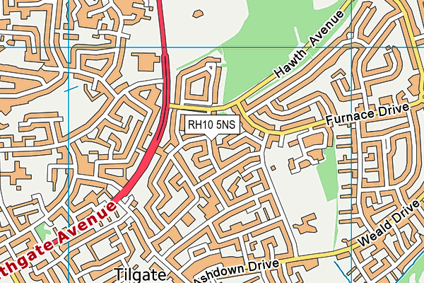 RH10 5NS map - OS VectorMap District (Ordnance Survey)