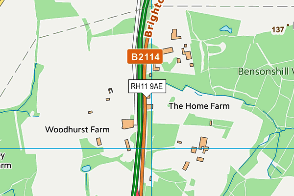 RH11 9AE map - OS VectorMap District (Ordnance Survey)