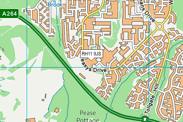 RH11 9JS map - OS VectorMap District (Ordnance Survey)