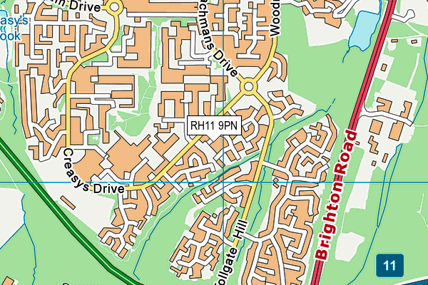 RH11 9PN map - OS VectorMap District (Ordnance Survey)