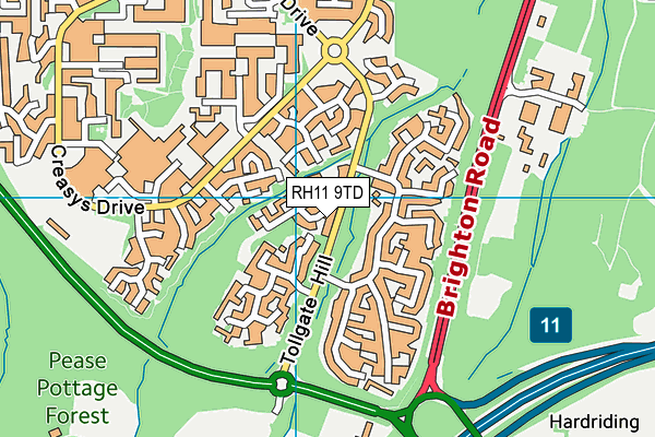 RH11 9TD map - OS VectorMap District (Ordnance Survey)