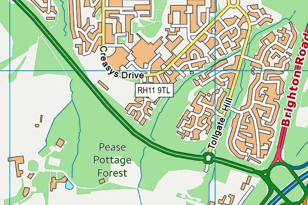 RH11 9TL map - OS VectorMap District (Ordnance Survey)