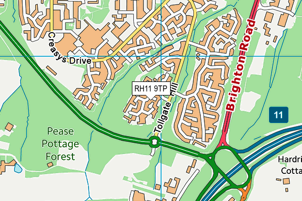 RH11 9TP map - OS VectorMap District (Ordnance Survey)