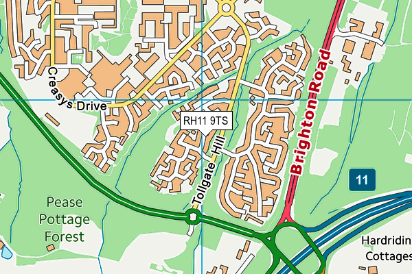 RH11 9TS map - OS VectorMap District (Ordnance Survey)