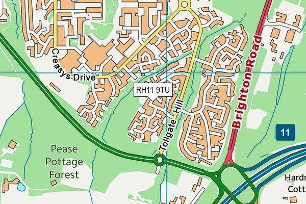 RH11 9TU map - OS VectorMap District (Ordnance Survey)