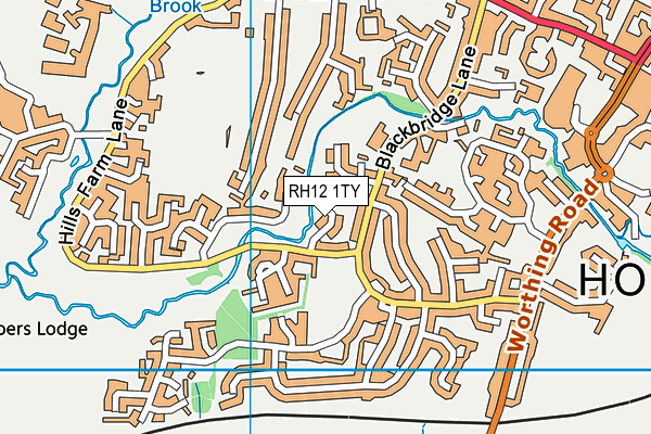 RH12 1TY map - OS VectorMap District (Ordnance Survey)