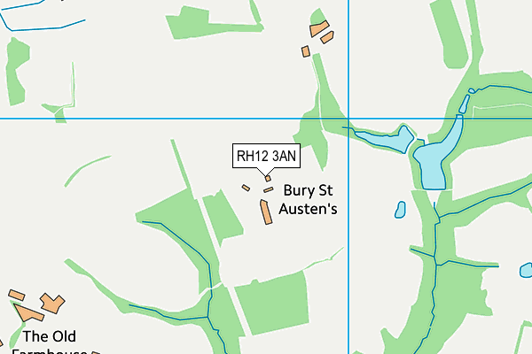 RH12 3AN map - OS VectorMap District (Ordnance Survey)