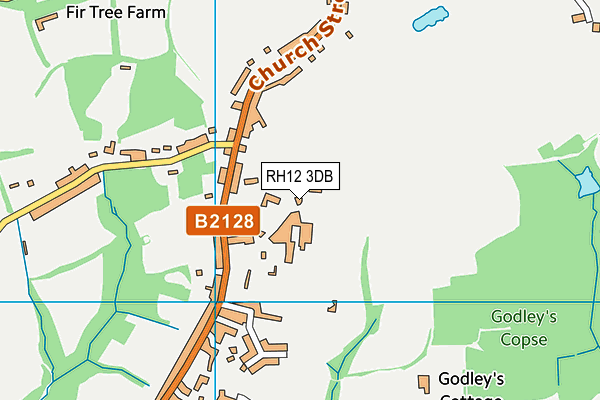 RH12 3DB map - OS VectorMap District (Ordnance Survey)