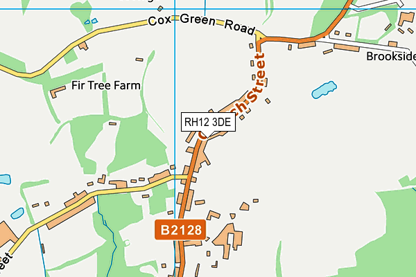 RH12 3DE map - OS VectorMap District (Ordnance Survey)