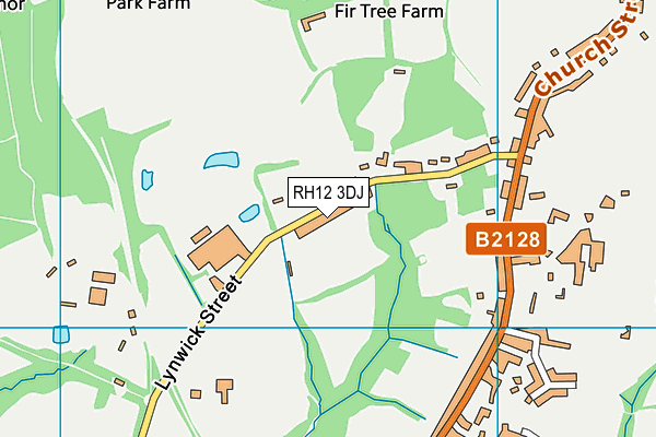 RH12 3DJ map - OS VectorMap District (Ordnance Survey)