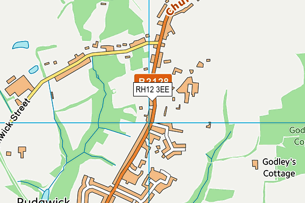 RH12 3EE map - OS VectorMap District (Ordnance Survey)