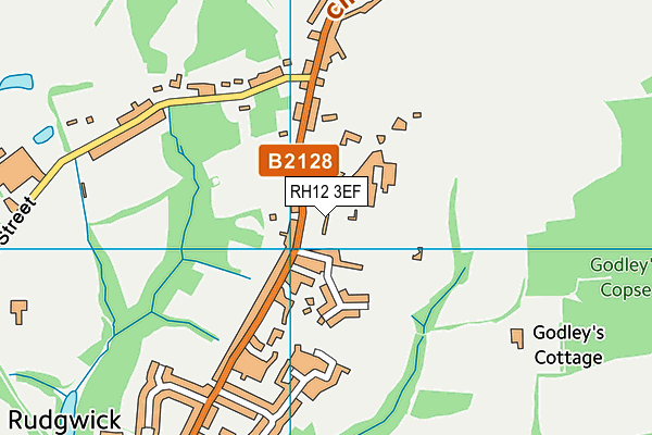 RH12 3EF map - OS VectorMap District (Ordnance Survey)