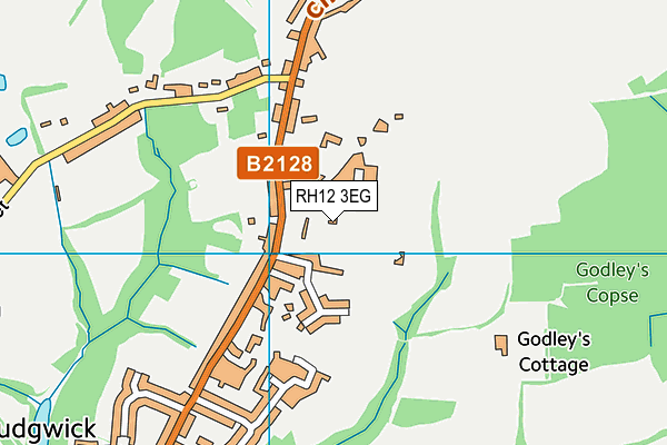 RH12 3EG map - OS VectorMap District (Ordnance Survey)
