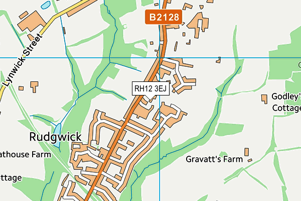 RH12 3EJ map - OS VectorMap District (Ordnance Survey)
