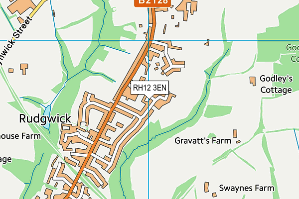 RH12 3EN map - OS VectorMap District (Ordnance Survey)