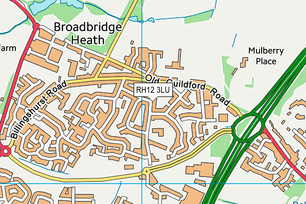 Shelley Primary School map (RH12 3LU) - OS VectorMap District (Ordnance Survey)