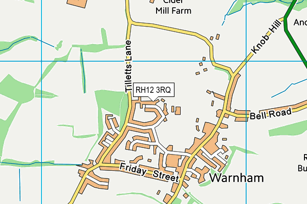 Warnham CofE Primary School map (RH12 3RQ) - OS VectorMap District (Ordnance Survey)