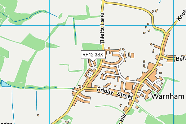 RH12 3SX map - OS VectorMap District (Ordnance Survey)