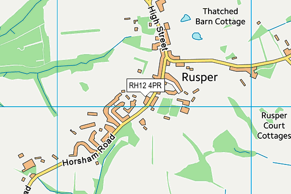 Rusper Primary School map (RH12 4PR) - OS VectorMap District (Ordnance Survey)