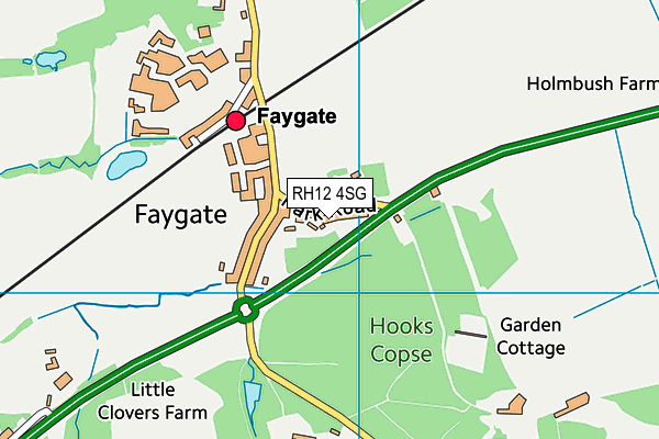 Faygate Playing Fields map (RH12 4SG) - OS VectorMap District (Ordnance Survey)