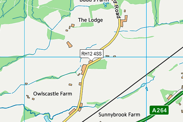 RH12 4SS map - OS VectorMap District (Ordnance Survey)