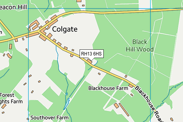 Colgate Primary School map (RH13 6HS) - OS VectorMap District (Ordnance Survey)