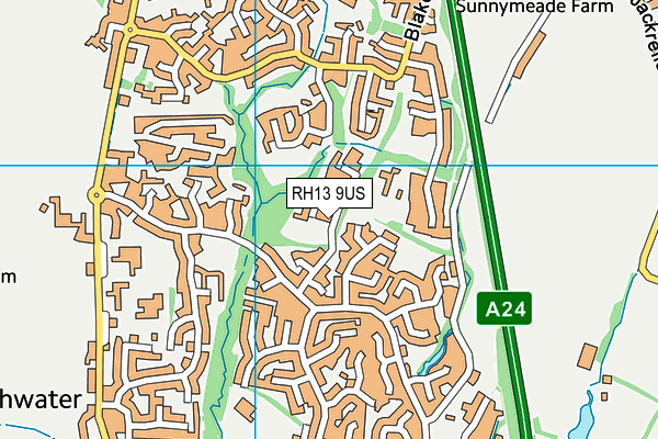 Castlewood Primary School map (RH13 9US) - OS VectorMap District (Ordnance Survey)