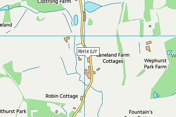 RH14 0JY map - OS VectorMap District (Ordnance Survey)