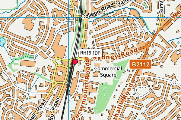 RH16 1DP map - OS VectorMap District (Ordnance Survey)