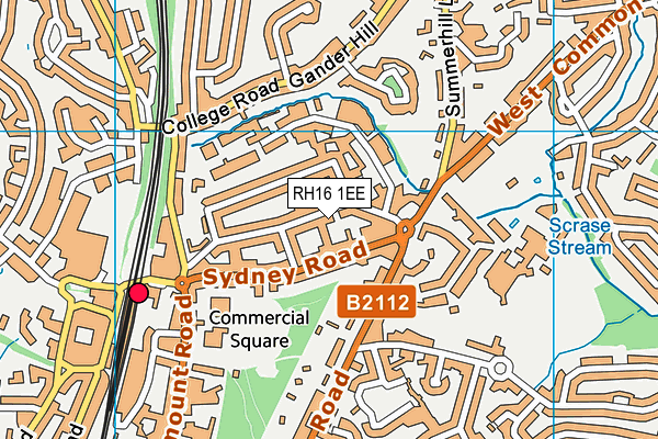 RH16 1EE map - OS VectorMap District (Ordnance Survey)