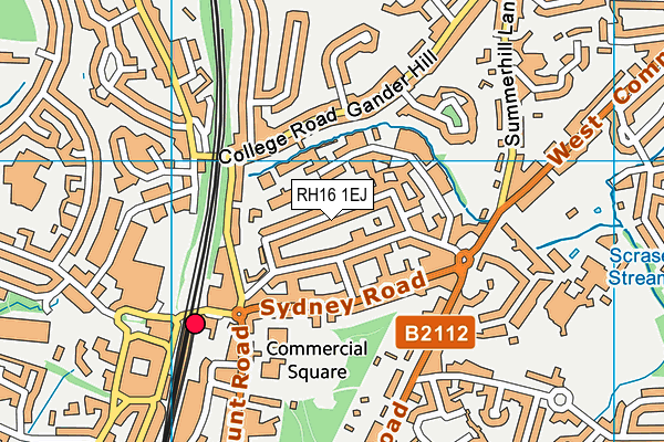 RH16 1EJ map - OS VectorMap District (Ordnance Survey)