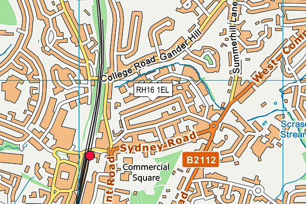 RH16 1EL map - OS VectorMap District (Ordnance Survey)