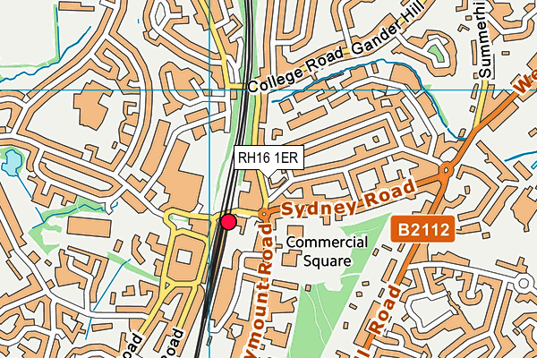 RH16 1ER map - OS VectorMap District (Ordnance Survey)