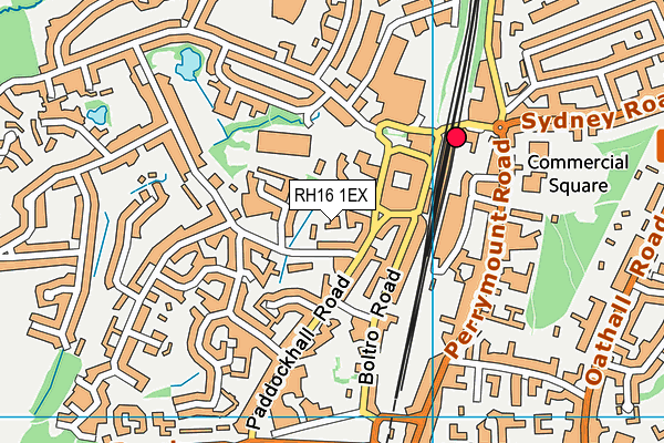 RH16 1EX map - OS VectorMap District (Ordnance Survey)