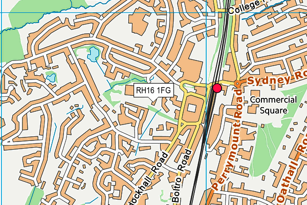 RH16 1FG map - OS VectorMap District (Ordnance Survey)