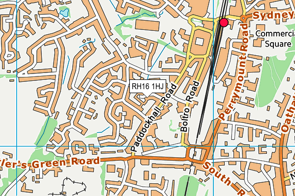 RH16 1HJ map - OS VectorMap District (Ordnance Survey)